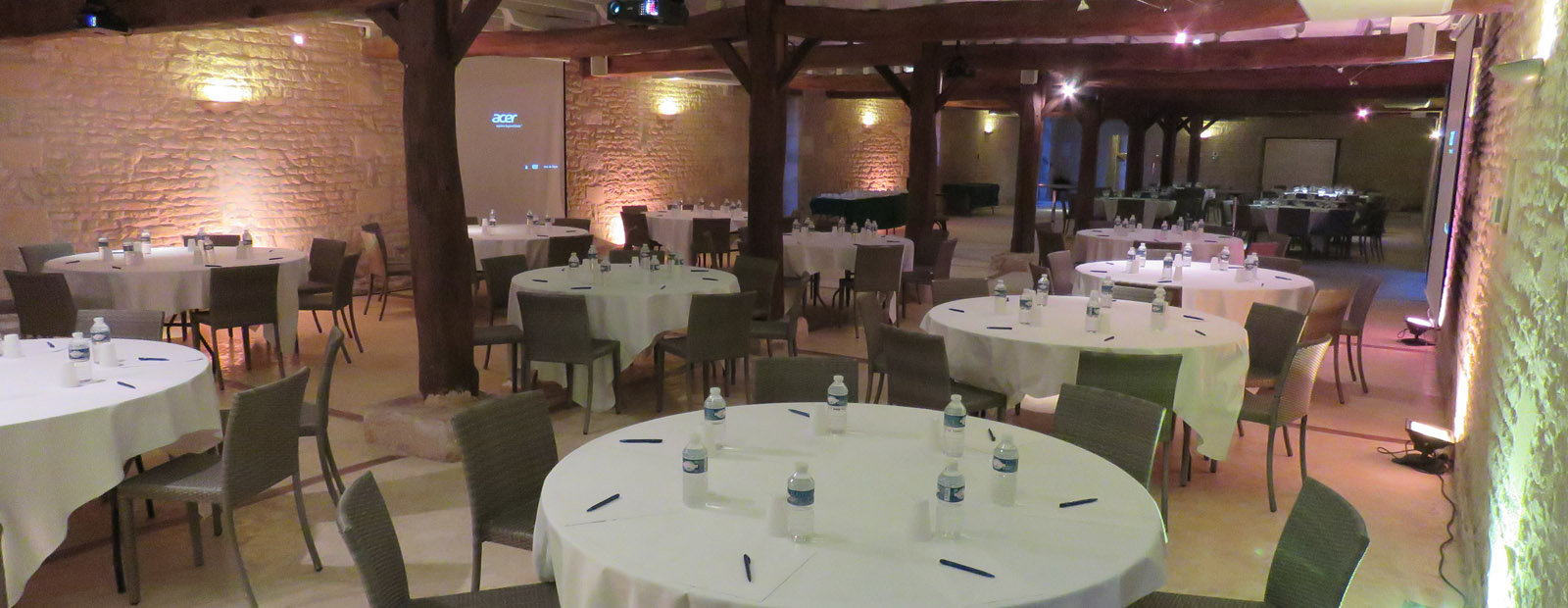 Salle-de-seminaire-Contact-Hotel-Chateau-du-Griffier-Granzay-Gript.jpg