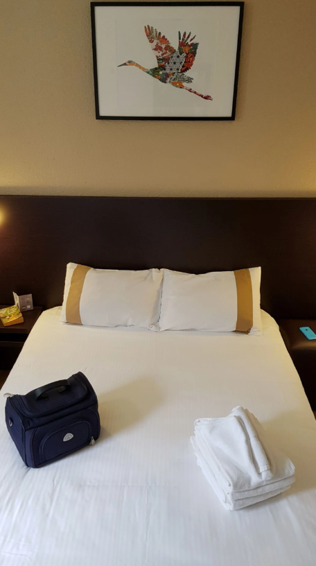 Chambre-double-Contact-Hotel-d-Alsace-Wissembourg.png